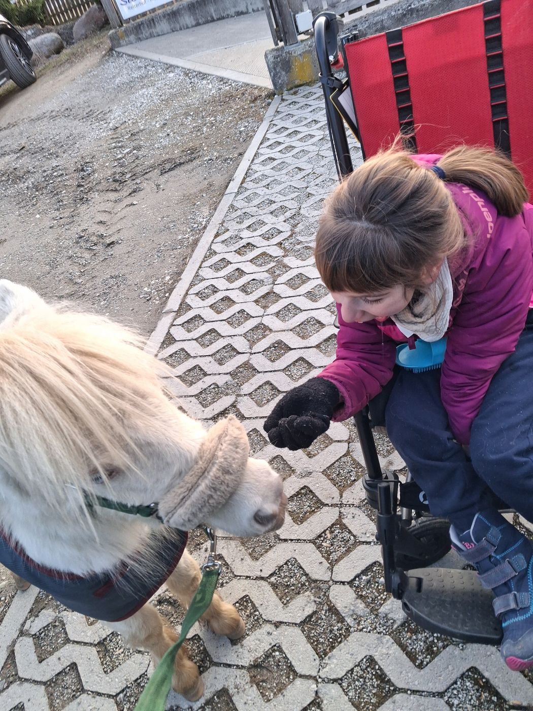 Passeggiata in centro
