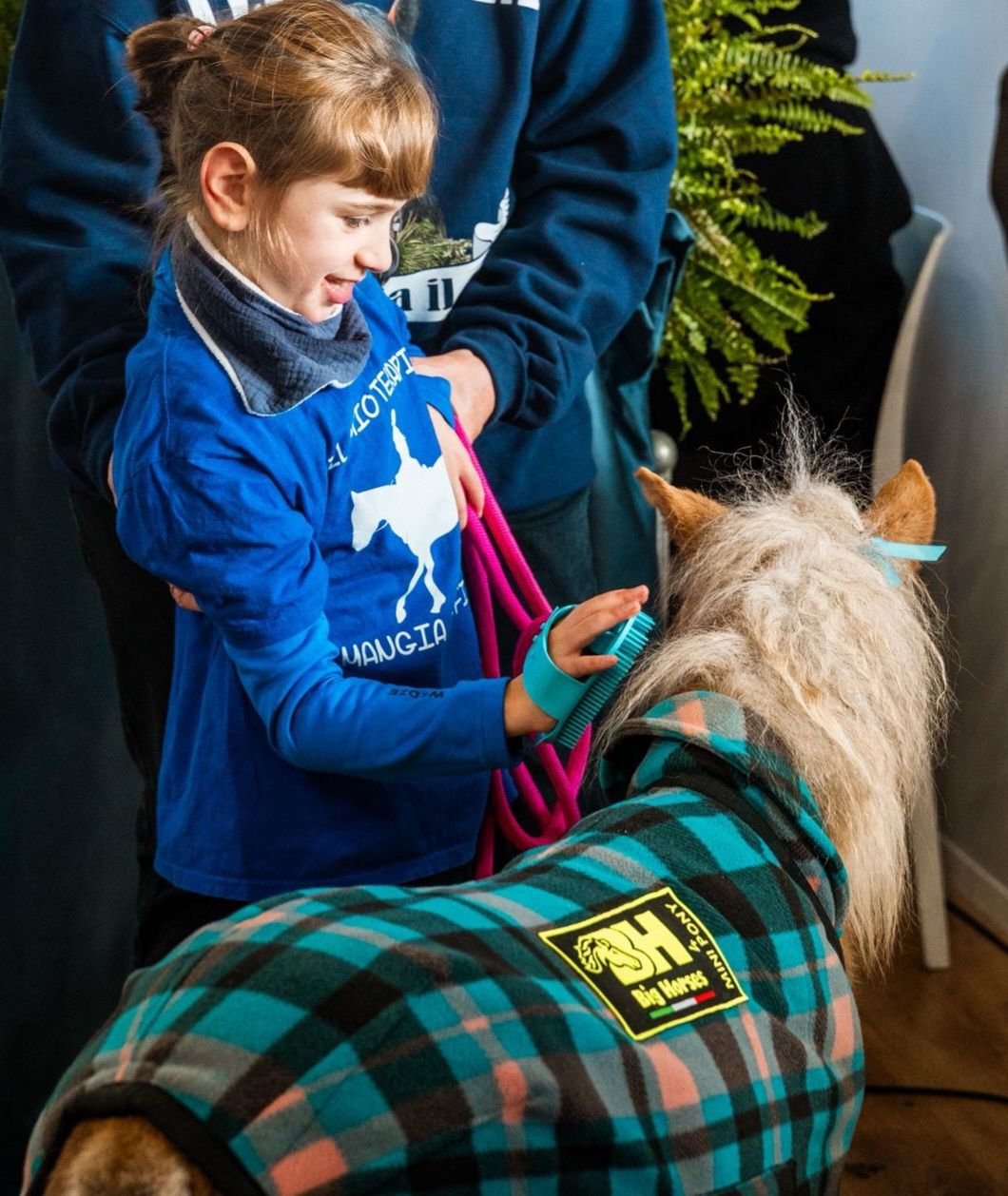 Il primo pony