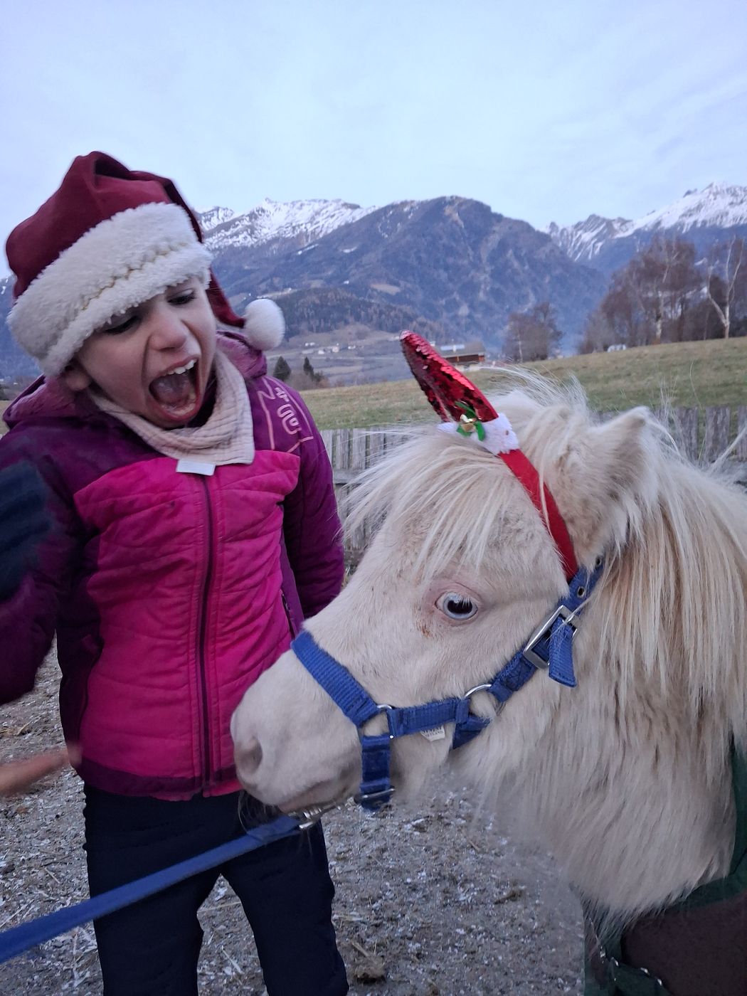Natale in due