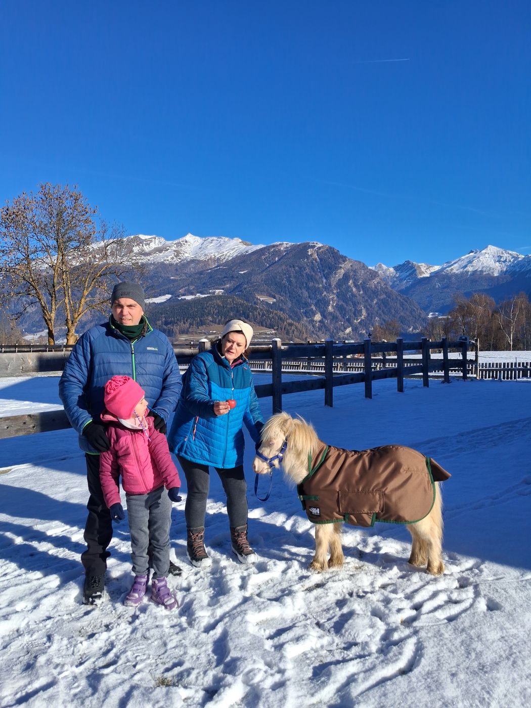 La famiglia nella neve