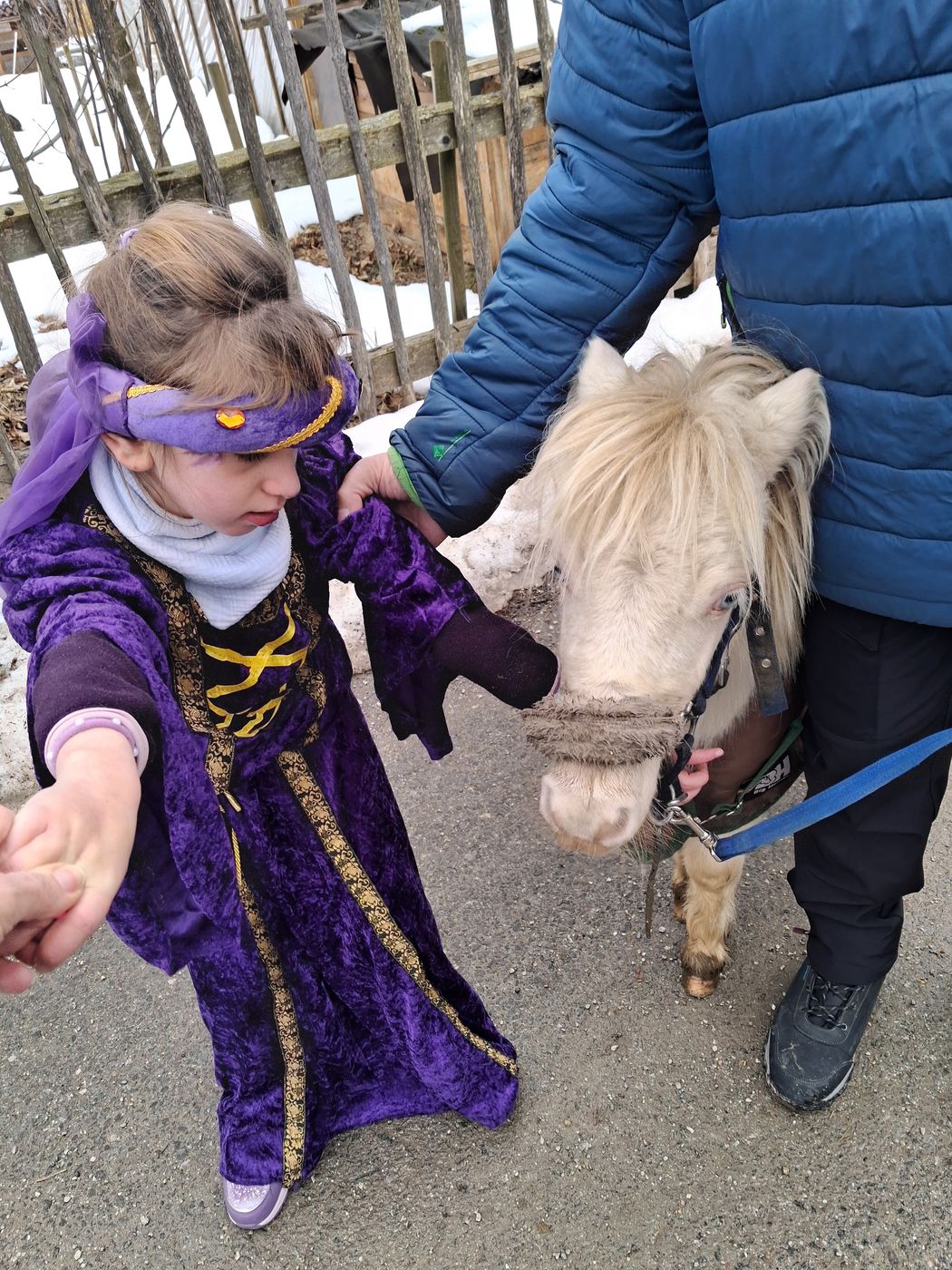 La principessa e il suo cavaliere