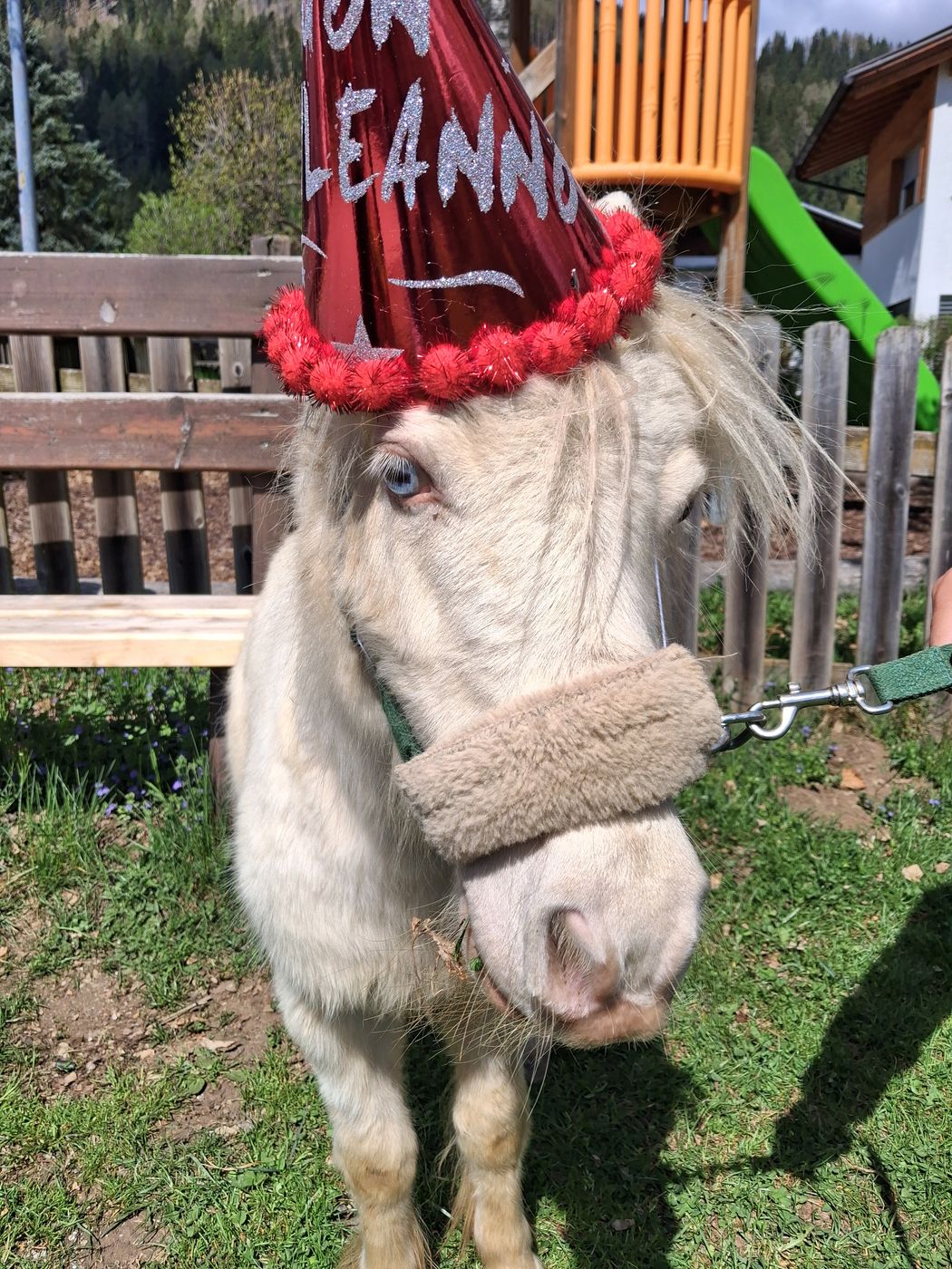 Il festeggiato